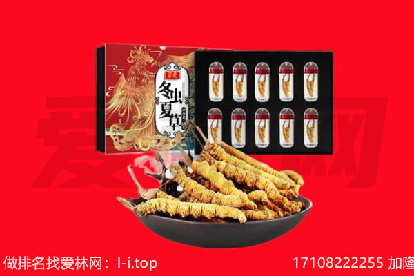 锡林郭勒东乌珠穆沁旗回收虫草.jpg
